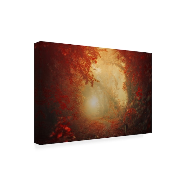 Ildiko Neer 'Personal Journey' Canvas Art,22x32